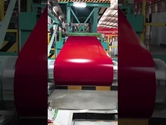 Vorgefärbte galvanisierte Stahlspirale Rot